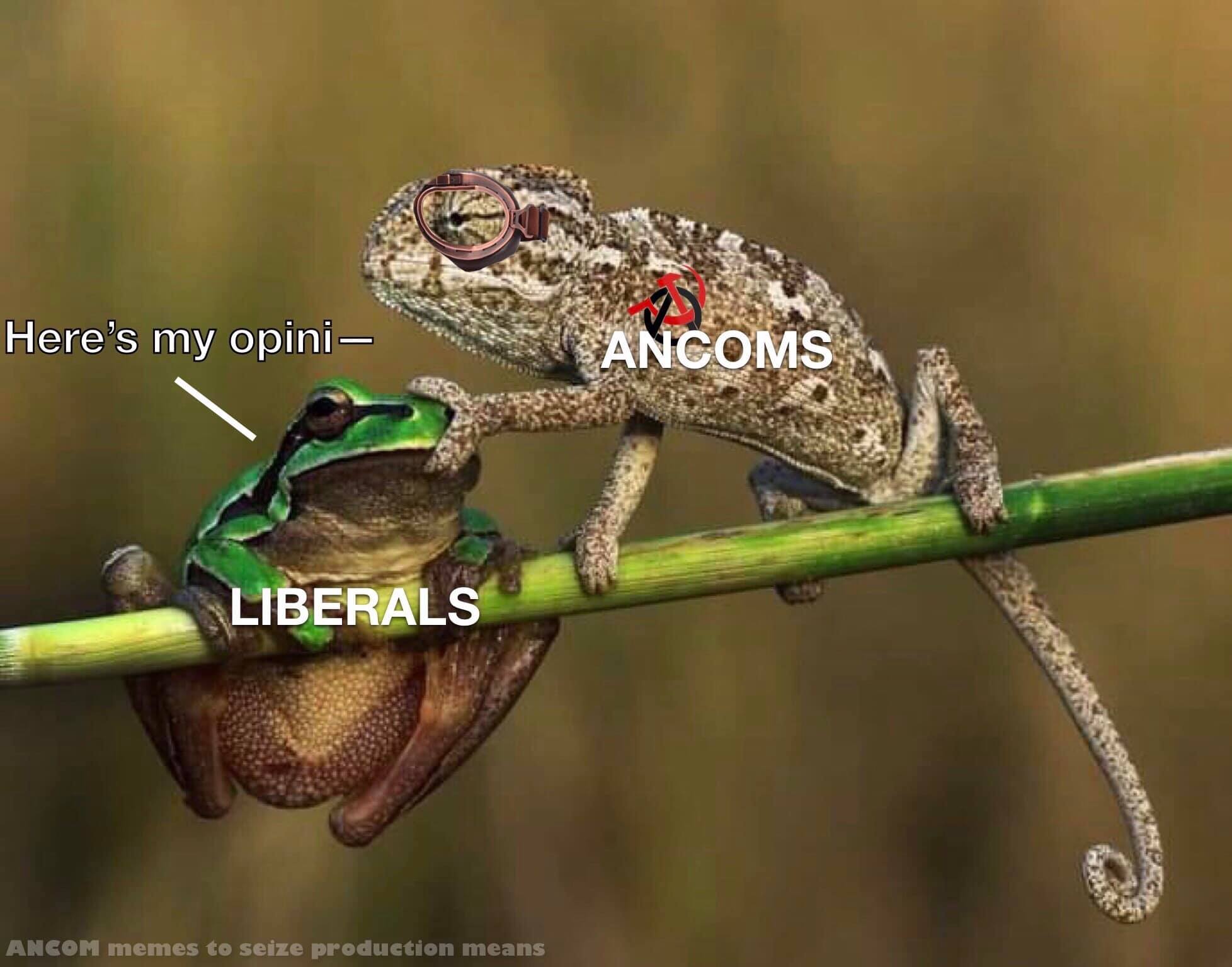 Okay, let's break down this meme through the lenses you've requested. It’s important to note that a meme, as a relatively simple visual communication, will likely yield interpretations that *touch on* these theories r...