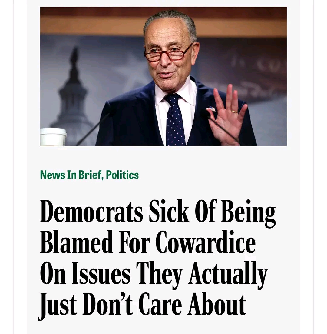 This political meme frames an accusation of "cowardice" not as a moral failing, but as a reaction to specific economic policies that align with opponents' views rather than Democrats'. The caption reads: "**Democrats...