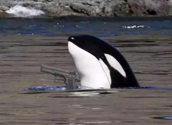 Okay, here's an analysis of the image, broken down into the sections you requested, only addressing those that are applicable and providing varying degrees of depth based on relevance. Be warned that applying these co...