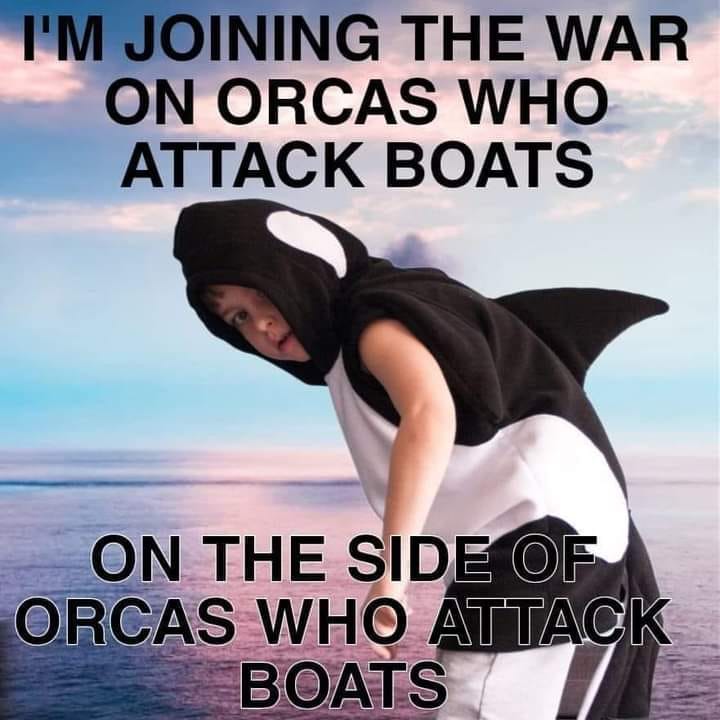 Okay, let's break down this meme with some theoretical lenses, focusing only on applicable sections. **Visual Description** The image presents a humorous, digitally altered scene. It depicts a child wearing a costume...