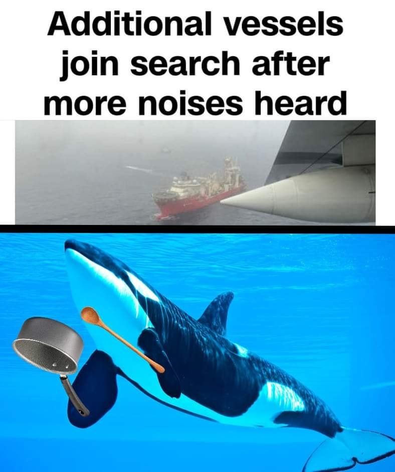 Okay, let's break down this bizarre image, applying different theoretical lenses. Be warned, this is going to get…theoretical. **Visual Description** The image is a composite of two separate images, presented as a mem...