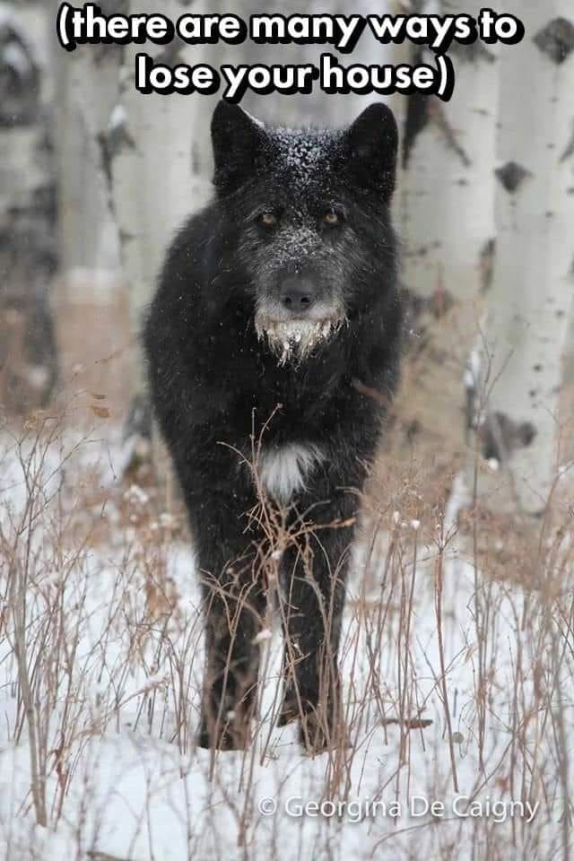 Okay, here's an analysis of the image, broken down into relevant theoretical sections. It's important to note that applying these frameworks is often interpretative, and multiple readings are possible. ## Visual Descr...