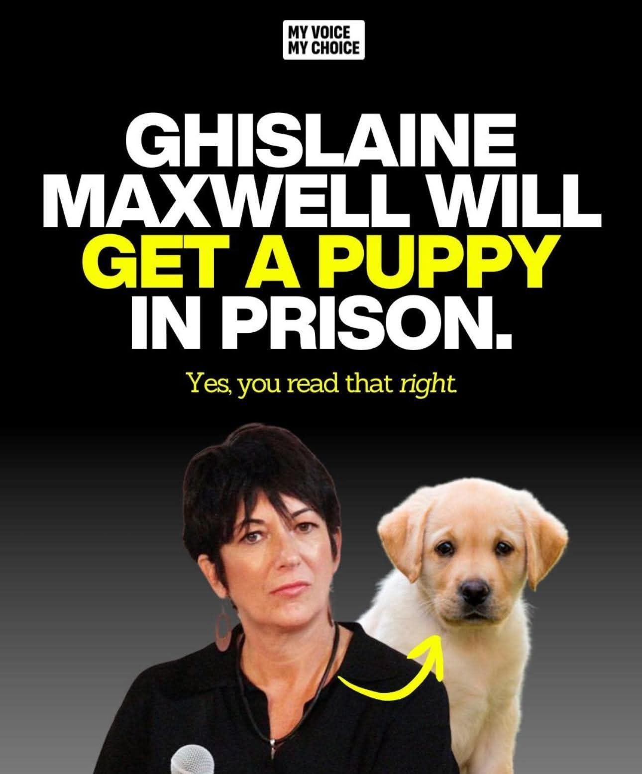 This meme recontextualizes the racist "Get off my lawn" trope by replacing it with a prediction that Ghislaine Maxwell will be in prison with a puppy. It uses a visual of a yellow Labrador dog and an arrow to suggest...