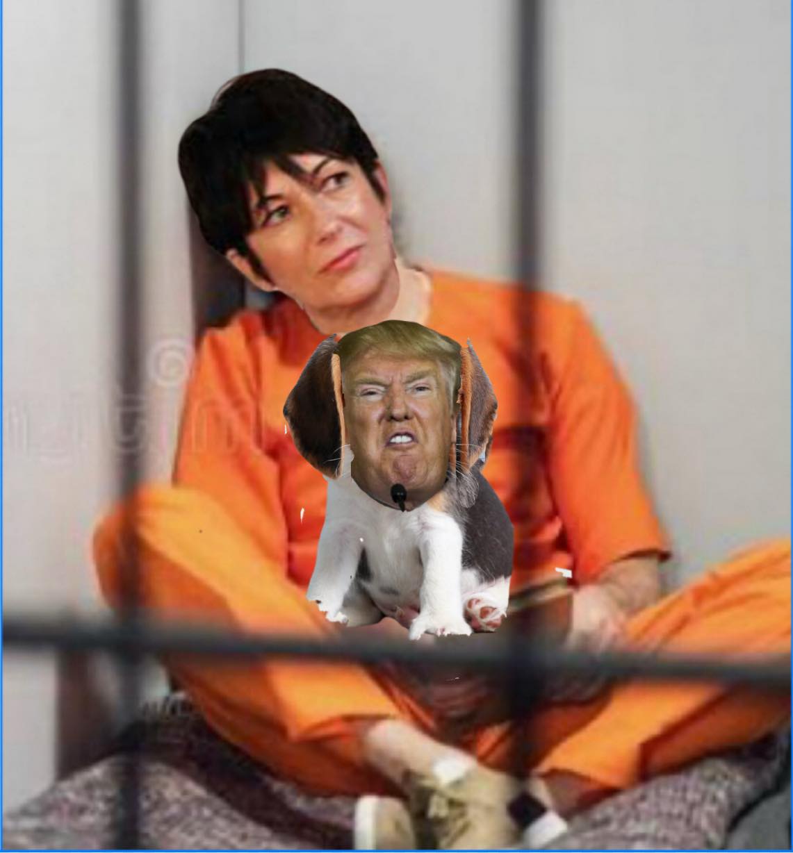 This meme features a woman in an orange prison jumpsuit with Donald Trump's head superimposed onto a small dog, creating an absurd visual where he appears to be speaking into a microphone. In the context of the "Anti-...