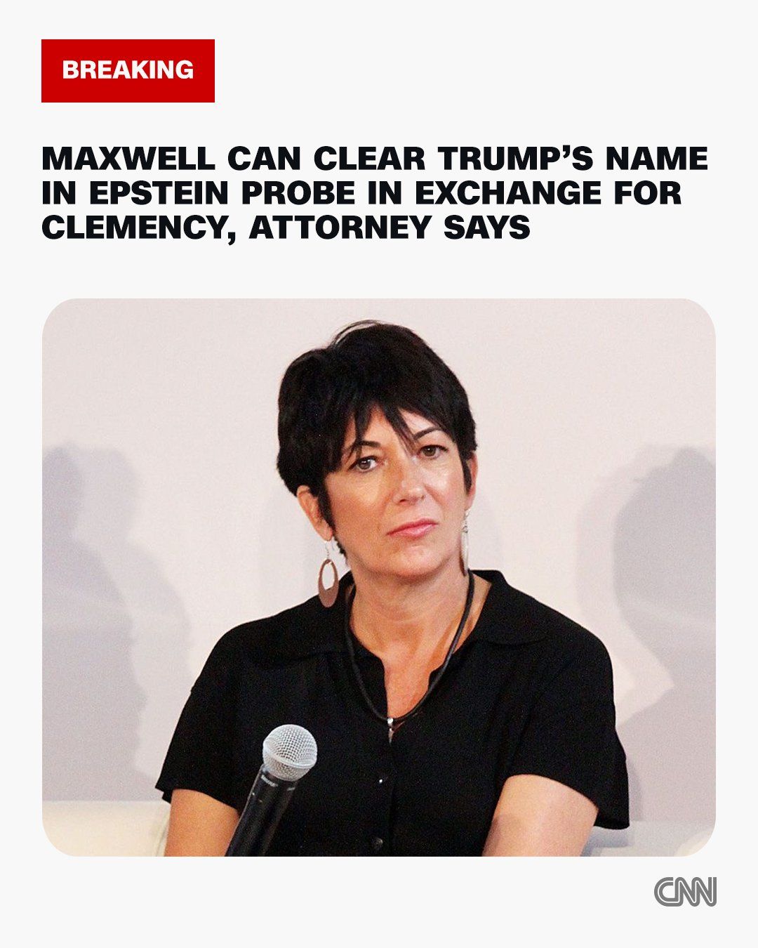 This headline utilizes the phrase "EPSTEIN PROBE," which is associated with investigations into sexual child abuse crimes. The accompanying photo features reporter Teresa Palmer speaking at a press conference or media...