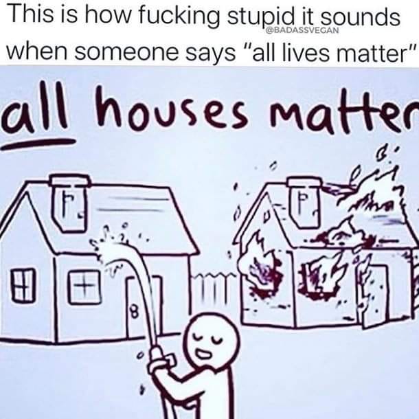 Okay, let's break down this image and its layered meaning through the lenses you've requested. It's a highly provocative image that aims to make a political point by employing a rather blunt and controversial analogy....