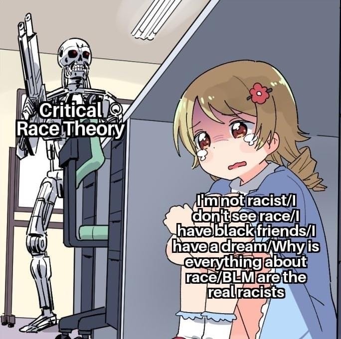 Okay, let's break down this image with analysis through the lenses you've requested. This is a loaded image, intentionally invoking concepts of critical theory and often used in online debates. **Visual Description**...