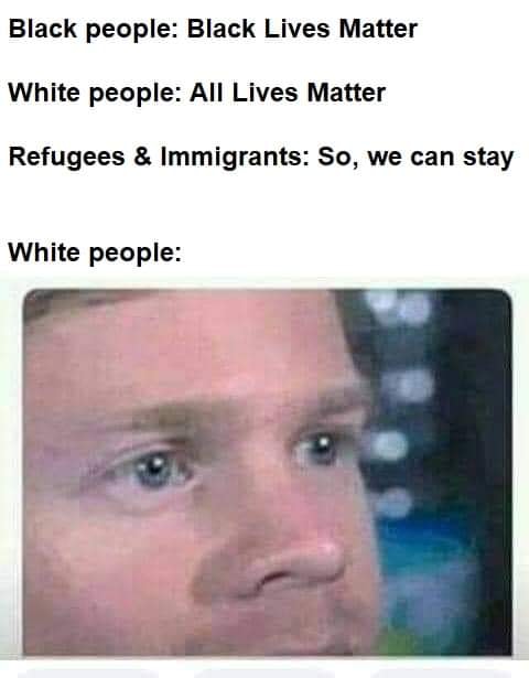 Okay, let's break down this meme through the lenses you've provided. It's a complex piece of internet communication, loaded with implicit meaning. **1. Visual Description** The image is a meme format comprised of text...