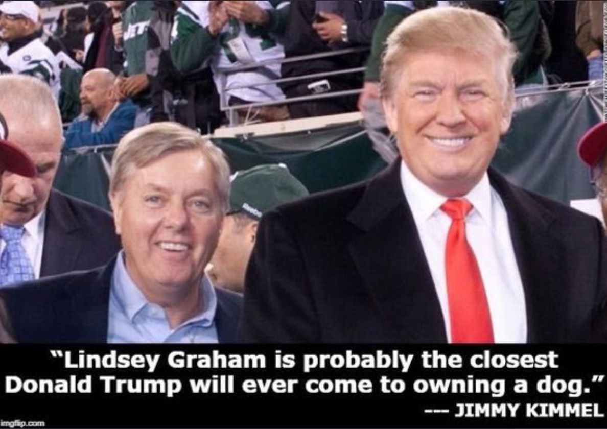 Okay, let's break down this meme through various theoretical lenses. **Visual Description** The image depicts Donald Trump and Lindsey Graham standing close together, likely at a sporting event (based on the surroundi...