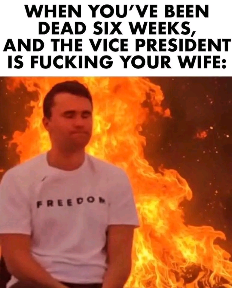 In this image, you see a man with a confused expression surrounded by flames while wearing a t-shirt that says "FREEDOM." This visual satirizes anti-reactionary political views by mocking the Vice President's infideli...