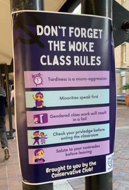 Okay, let's break down this poster with the requested analytical approaches. It's a fascinating piece, lending itself well to a complex reading. ## Visual Description The image is a poster affixed to a dark-colored, c...