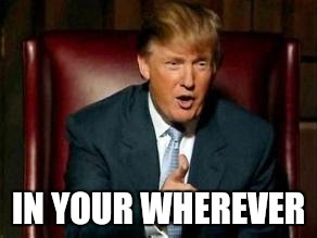 Okay, let's break down this image of Donald Trump with the text "IN YOUR WHEREVER" using the requested theoretical frameworks. Note that applying all theories isn't always applicable, so I'll address what's relevant....