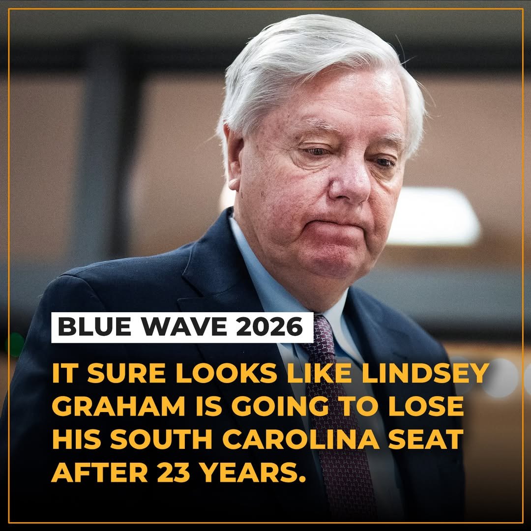 This political meme is a classic piece of irony popular among conservative factions who fear the collapse of their current power structures. The text "Blue Wave 2026" acts as a satirical prediction that Lindsey Graham...