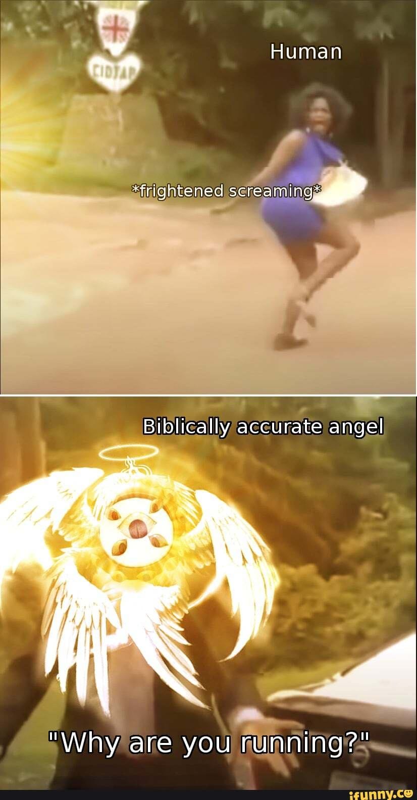 Okay, let's break down this image and apply some theoretical lenses. It's a meme, which already lends itself to deconstruction and multiple interpretations. ## Visual Description The image is composed of two panels, u...