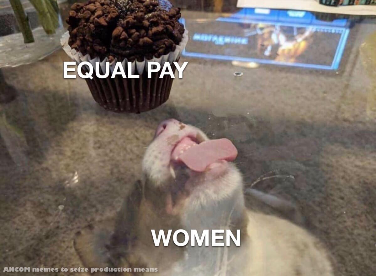 Okay, let's break down this meme through the lenses you've provided. It's a somewhat unconventional image, so interpretations can be layered. **1. Visual Description** The image depicts a small, white ferret attemptin...