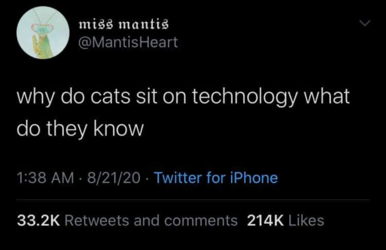 Okay, here's an analysis of the tweet, broken down into the sections you requested, focusing on how they might apply. I'll indicate if a section isn't highly applicable. **Visual Description** The image is a screensho...