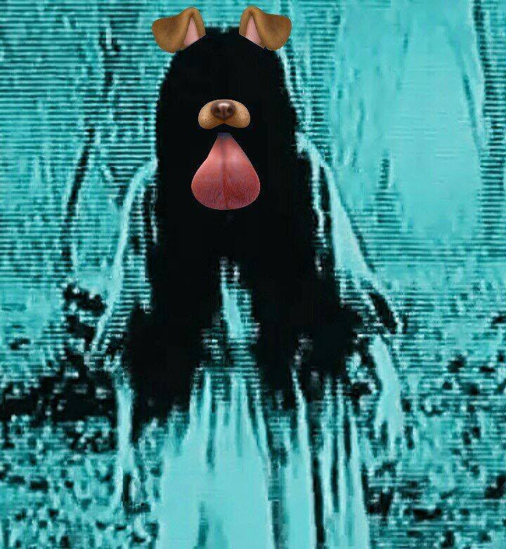 Okay, let's break down this image using the requested theoretical frameworks. It's a curious image, so some sections will be more applicable than others. ## Visual Description The image depicts a dark, silhouetted fig...