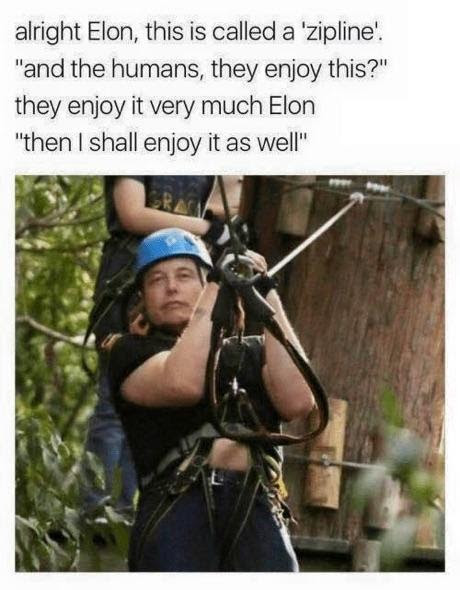 Okay, let's break down this meme image and its text through various theoretical lenses. Given the content, some analyses will be more fruitful than others. **1. Visual Description** The image features Elon Musk, weari...