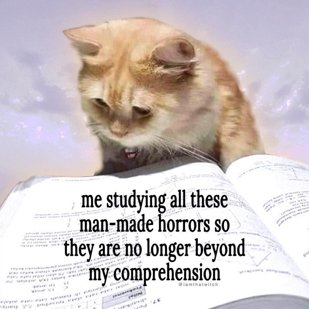 Okay, here's an analysis of the image, broken down into the requested theoretical sections, as applicable. I'll note if a section isn't really relevant given the image's content. ## Visual Description The image depict...