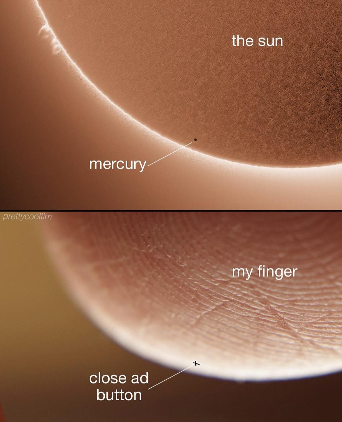 Okay, here's an analysis of the image, broken down into the requested theoretical frameworks, only where those frameworks apply meaningfully. I will aim for detailed explanations while recognizing the inherent absurdi...