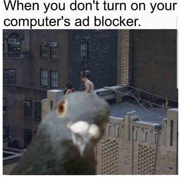 Okay, let's break down this meme through several theoretical lenses. It’s a surprisingly rich image for analysis. **Visual Description** The image is a close-up, slightly blurry shot of a pigeon. The pigeon is looking...