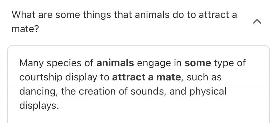 Okay, let's break down the provided text and image (a search query and response about animal courtship) through several critical theory lenses. It's worth noting that applying these theories to a simple statement abou...