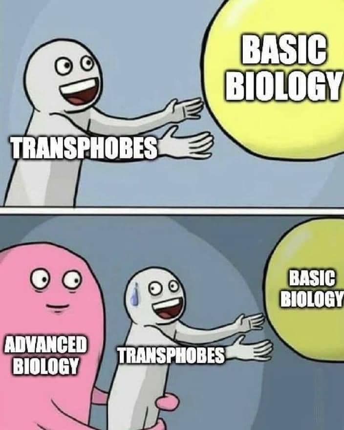 Okay, let's break down this meme through several theoretical lenses. It's a layered piece, and quite a few of your requested frameworks apply. ## Visual Description The meme is a two-panel “drakeposting” format. In th...