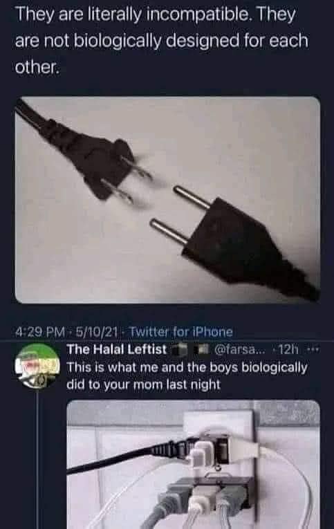 Okay, let's break down this meme through several theoretical lenses. It's surprisingly rich for a simple image of incompatible electrical plugs! **Visual Description** The image features two electrical plugs, both com...