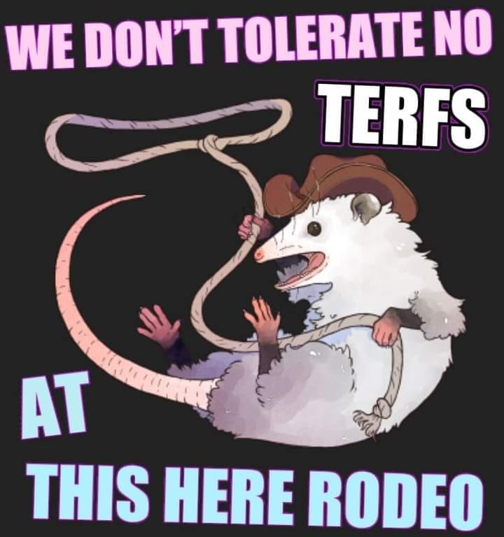 Here's an analysis of the image, broken down into sections based on the requested theoretical frameworks. Note that some sections are more applicable than others; I'll indicate where a framework doesn't quite fit. **V...