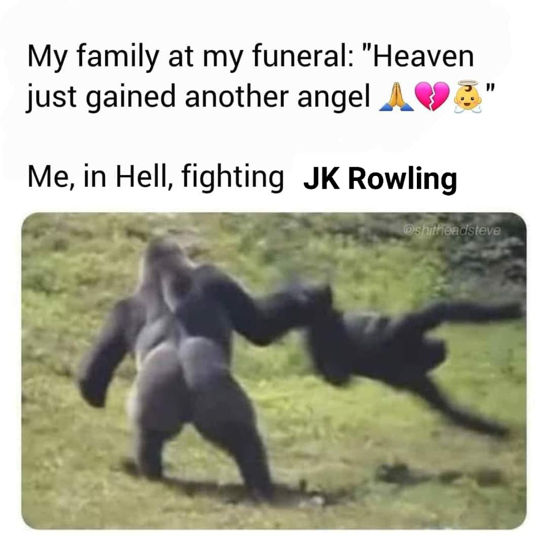 Okay, here's an analysis of the meme, broken down into sections as requested. Keep in mind, this is a bit of a playful exercise given the meme's inherently internet/humorous nature, but I'll attempt to apply the theor...