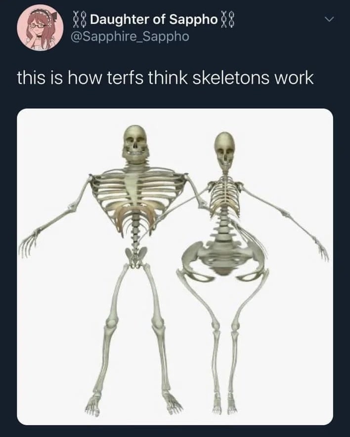 Here's an analysis of the image and its accompanying text, broken down into sections as requested. It's important to note that the meme relies heavily on a specific internet subculture and understanding of political d...