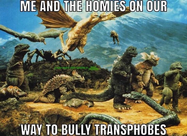 Okay, let's break down this meme through the lenses you've provided. It's a complex image with potential for various analyses. **Visual Description** The meme features a promotional image from the 1964 Godzilla film *...