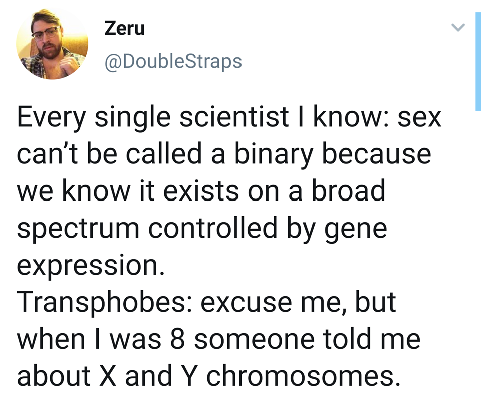 Here's an analysis of the image and text, broken down into the requested theoretical lenses. Not all categories are relevant, and the degree of applicability varies. ## Visual Description The image is a screenshot of...