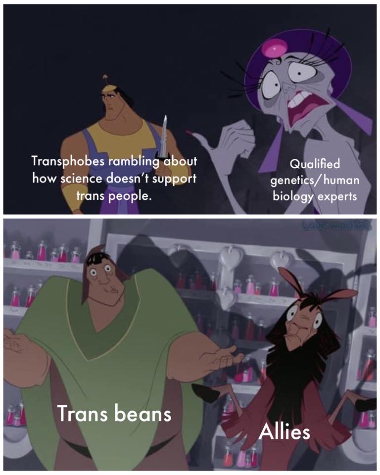 Okay, here's an analysis of the image you provided, broken down into sections addressing the requested theoretical frameworks, with notes on where those frameworks *don't* strongly apply. I'll attempt to be thorough,...