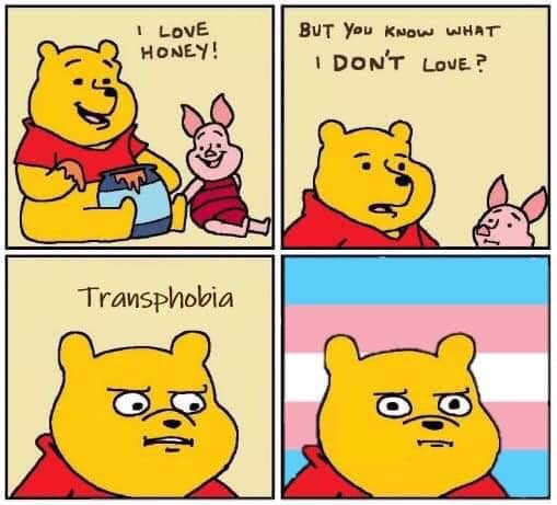 Okay, let's break down this meme using the requested theoretical frameworks. It's important to acknowledge this meme is making a potentially sensitive statement, and this analysis aims to understand its implications t...