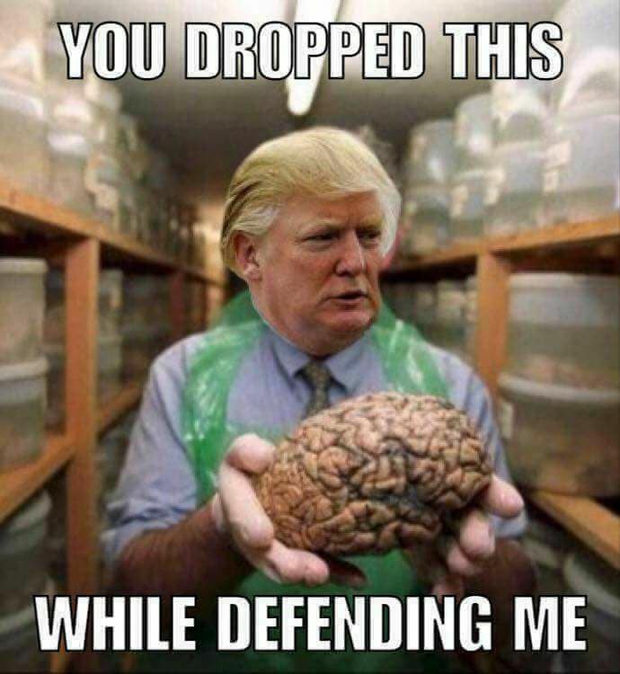 Okay, let's break down this meme through the requested lenses. **Visual Description** The image is a digitally altered meme featuring a photograph of former U.S. President Donald Trump. He is depicted wearing a light...