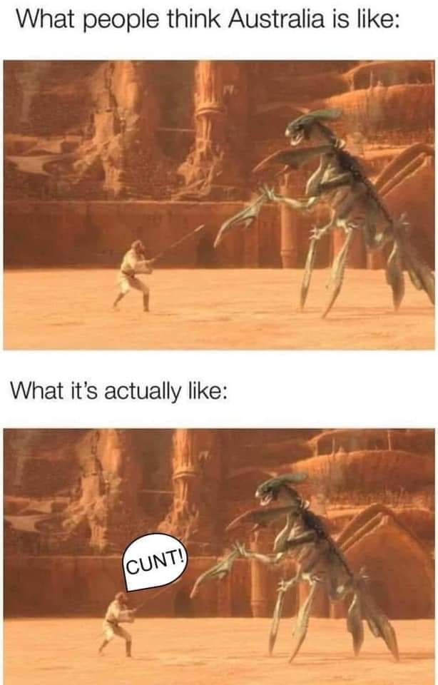 Okay, let's break down this meme, applying the requested theoretical frameworks where relevant. It's a darkly humorous meme, and the application of these theories is going to lean into interpreting that humor and its...