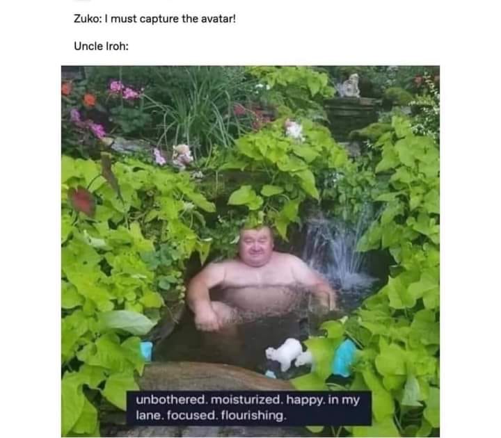 Okay, let's break down this meme referencing *Avatar: The Last Airbender* through the lenses you've requested. It’s a rich image for analysis! **Visual Description** The image depicts a man, often identified as a stoc...