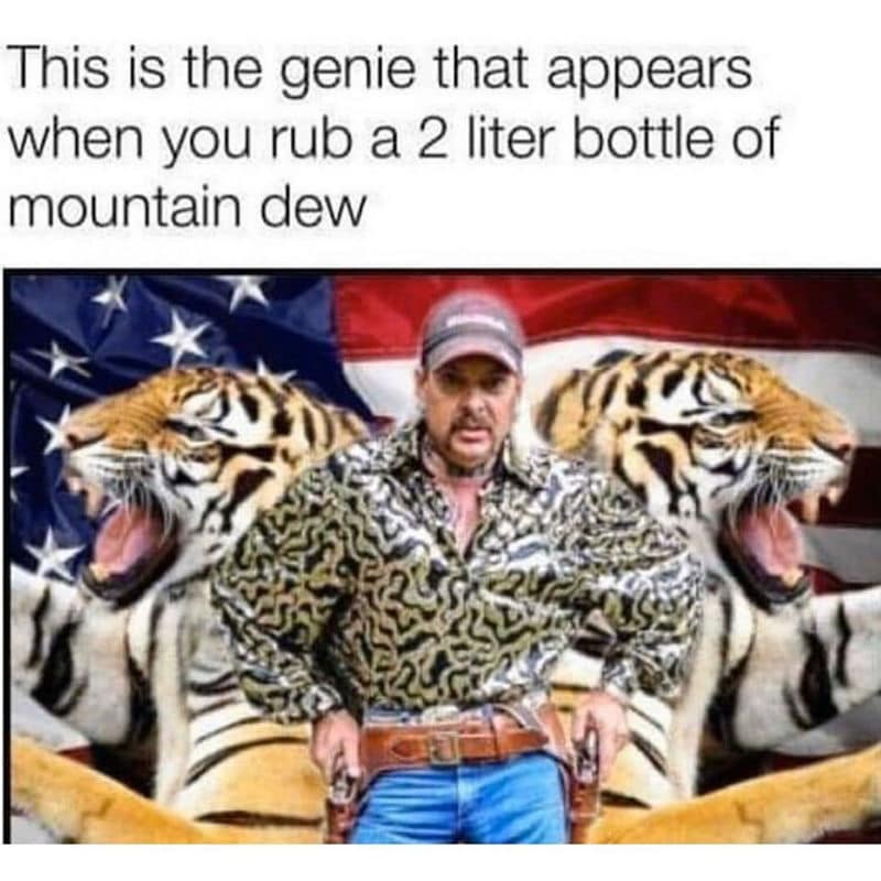 Okay, let's break down this meme of Joe Exotic (from *Tiger King*) with a layered analysis, hitting on the requested theoretical frameworks where relevant. ## **Visual Description** The image depicts Joe Exotic, a for...