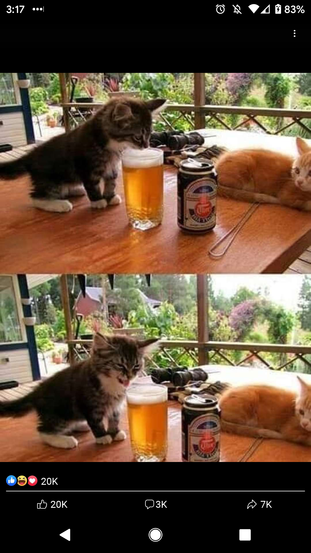 Okay, here's a breakdown of the image, approached through the lenses you requested. Not all categories will apply equally, or even at all, but I'll aim for a thorough exploration where relevant. **Visual Description**...