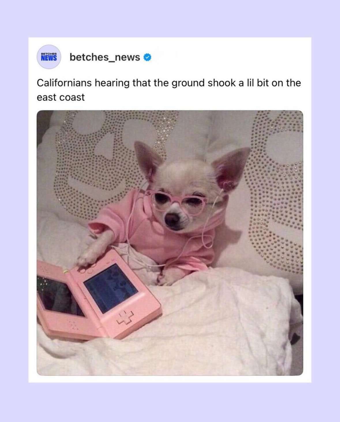 Okay, let's break down this image and its accompanying text through the requested theoretical lenses. It’s a rich example, despite its initial silliness. **Visual Description** The image depicts a small chihuahua wear...