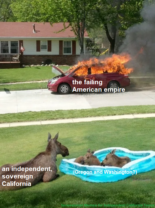 Okay, let's break down this rather…unique image using the requested analytical frameworks. Be warned, this image is *dense* in its potential for interpretation and leans heavily into a certain internet subculture (sec...