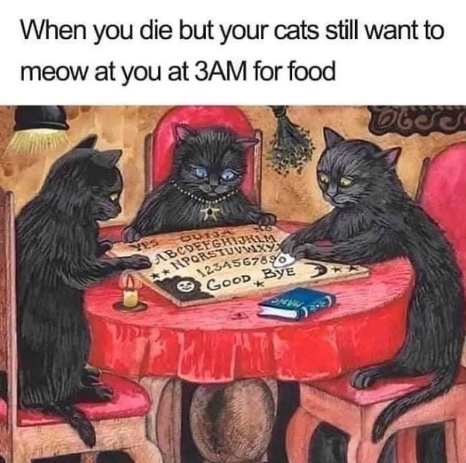 Okay, here's an analysis of the image and accompanying text, broken down into sections based on the requested theoretical frameworks. It's worth noting that applying all of these frameworks isn’t necessarily *natural*...