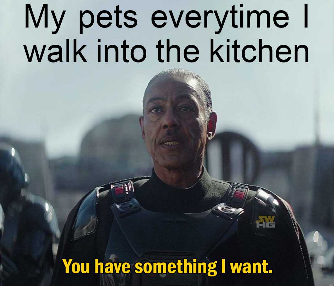 Okay, here's an analysis of the image and its meme-context, broken down by the requested theoretical lenses. I'll include sections only where the theory applies meaningfully. ## Visual Description The image features a...