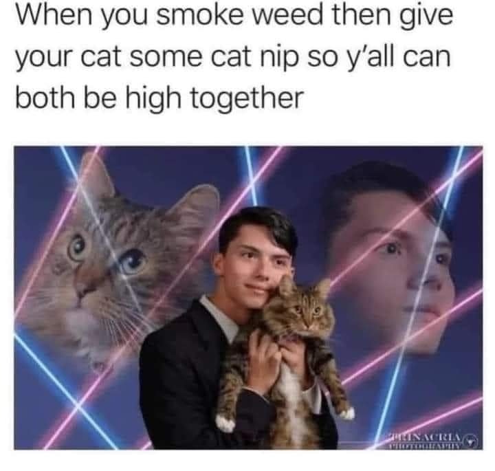 Okay, let's break down this meme using the requested theoretical lenses. It’s a *lot* to apply to a meme, so I’ll focus on the most relevant points, and indicate when a theory doesn’t quite land. **Visual Description*...