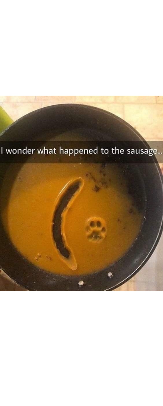 Okay, let's analyze this image, a close-up of a pan containing a liquid (likely cooking oil or fat) with a pattern resembling a skull formed within it, accompanied by the caption "I wonder what happened to the sausage...