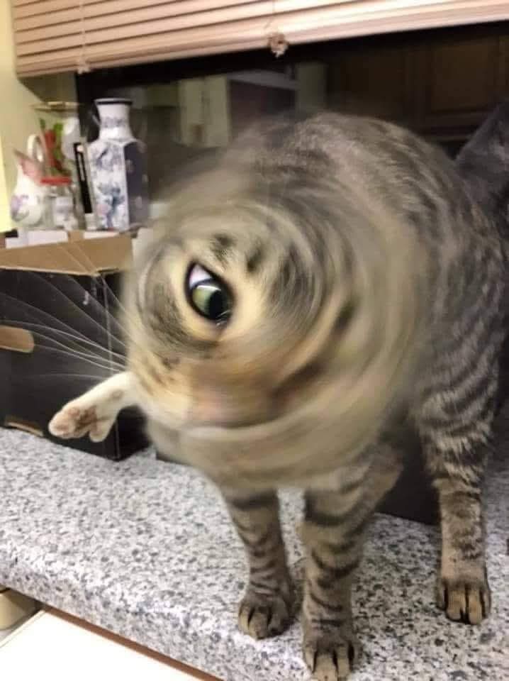 574452558_1242155547956831_6730539113233919760_n