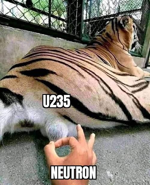 Okay, let's break down this rather peculiar image using the requested theoretical frameworks. It's...a lot. **Visual Description** The image depicts a tiger lounging, with its hindquarters prominently displayed. Super...