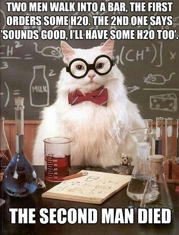 Okay, let's analyze this meme featuring a science-themed cat with a rather morbid punchline, through various critical lenses. **Visual Description** The image is a digitally manipulated photograph of a fluffy white ca...