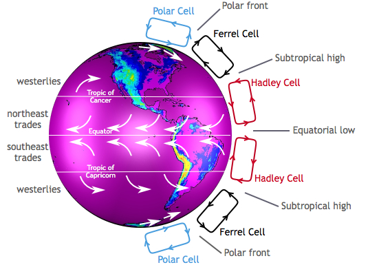Okay, let's break down the image of the global atmospheric circulation cells through different critical lenses. I'll only address the sections relevant to the visual content and the potential for these lenses to be ap...